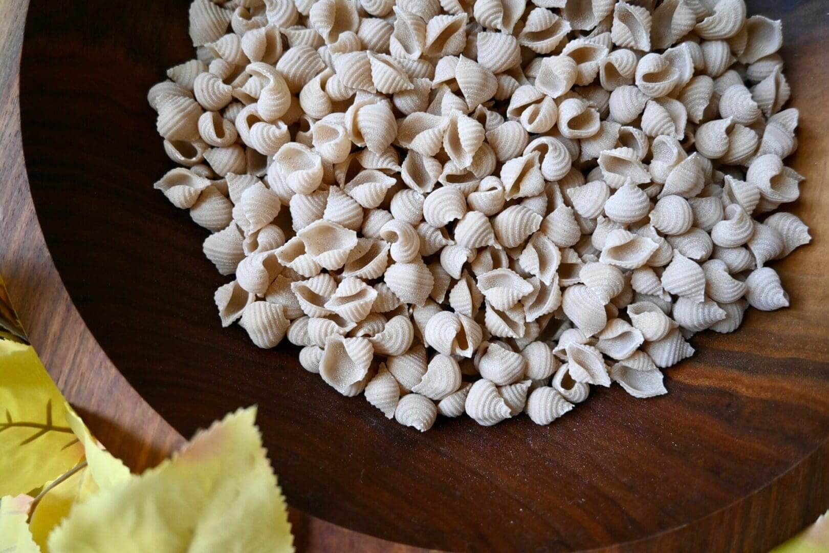 Shell Noodles