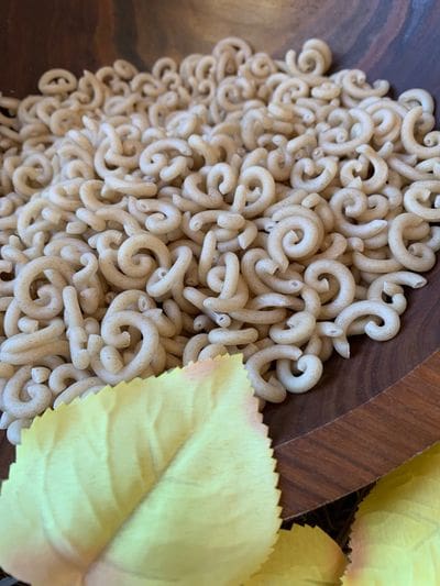 Macaroni Noodles
